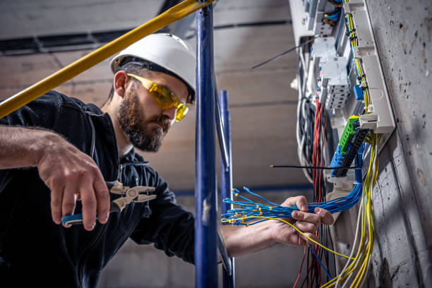 Best Electric Panel Repair  in Fountain, CO